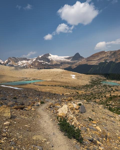 Iceline Trail