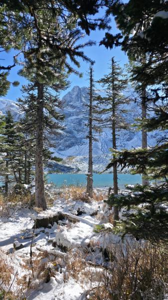 Joffre Lakes Trail