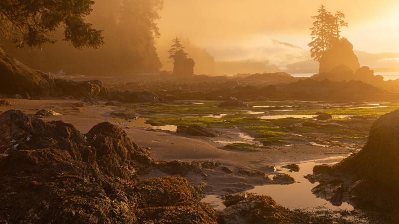 West Coast Trail