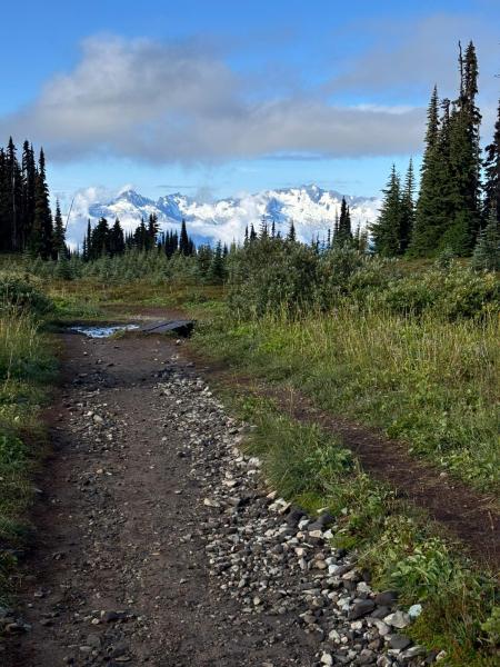 Black Tusk Meadows