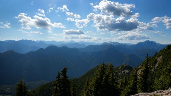 Mount Seymour Trail