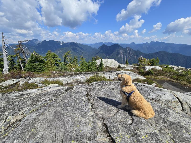 Goat Ridge Trail