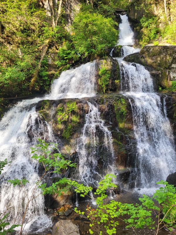 Steelhead Falls