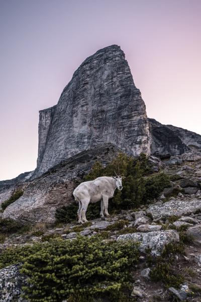 Gimli Ridge