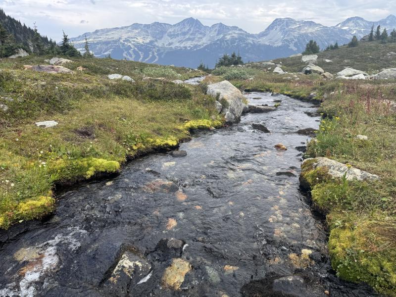 Harmony Lake Loop