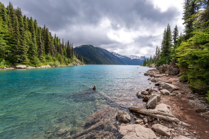 Garibaldi Lake