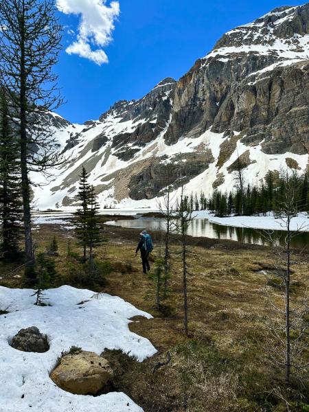 Wonder Pass