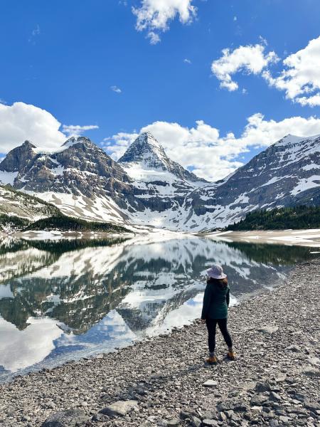 Wonder Pass