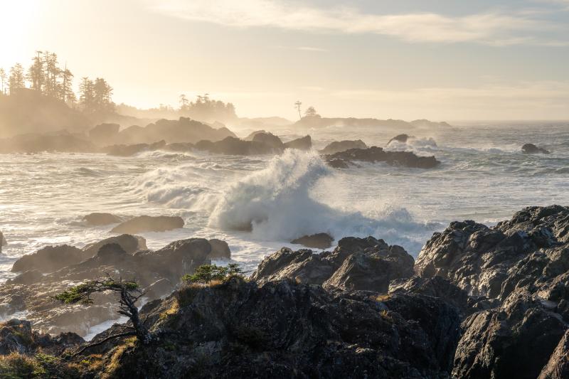 Wild Pacific Trail