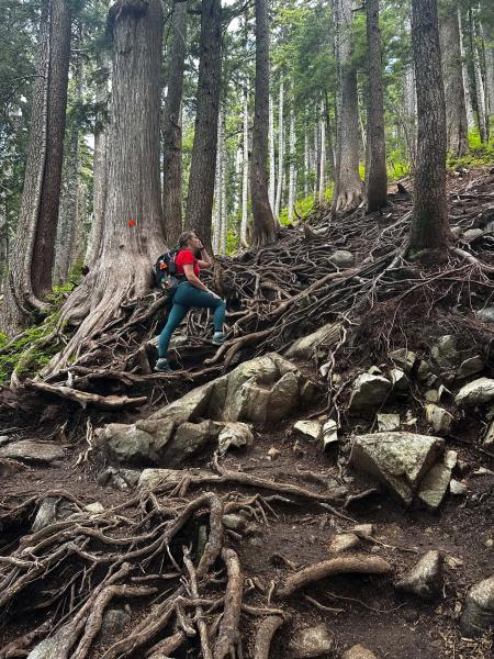 Saint Mark’s Summit