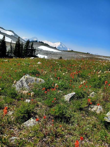 Russet Lake