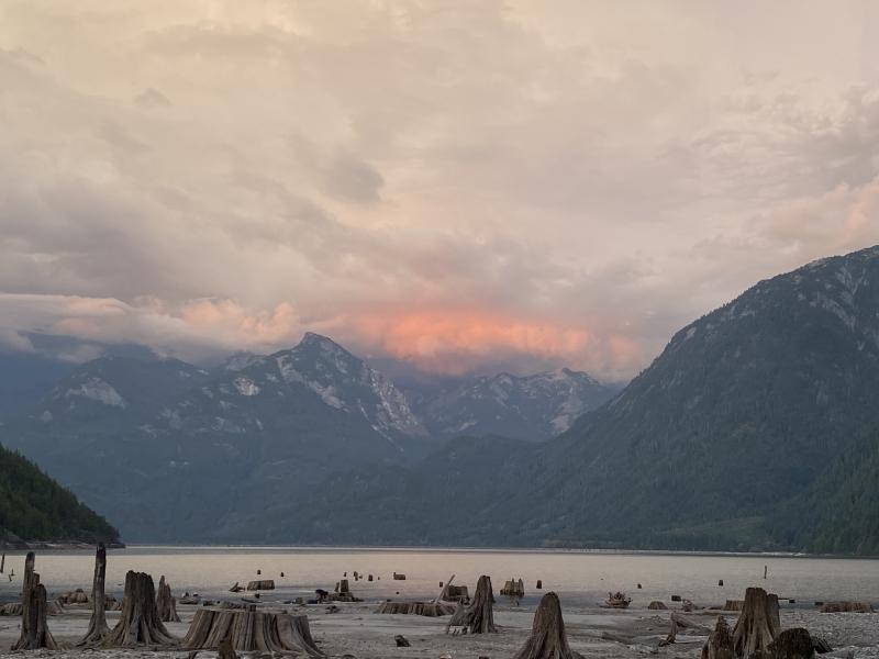 Glacier Bay Beach