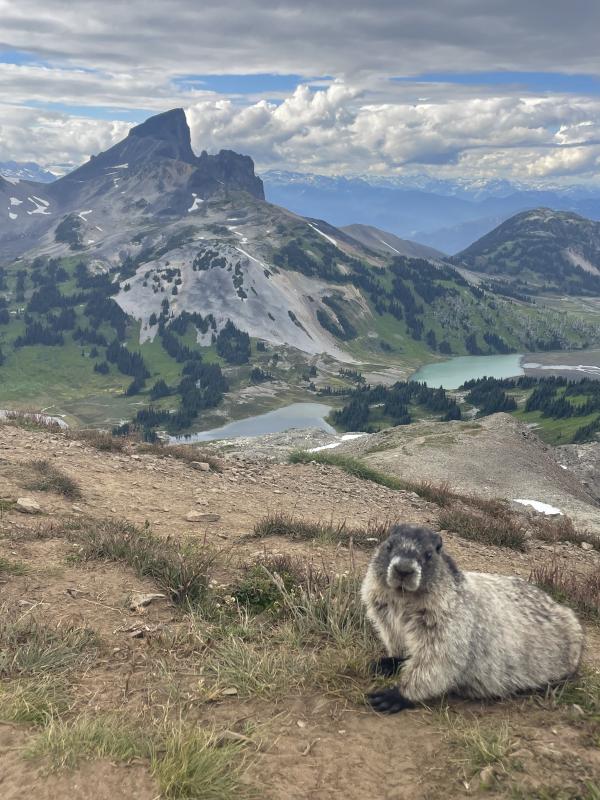 Panorama Ridge