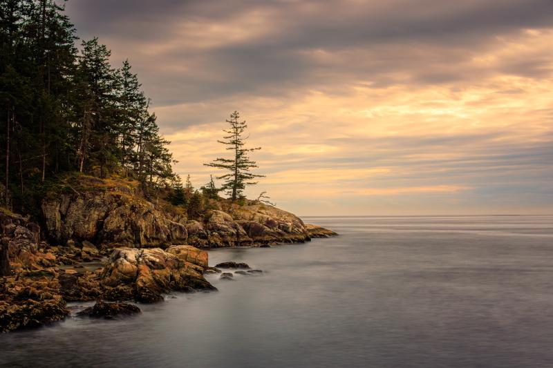 Shore Point