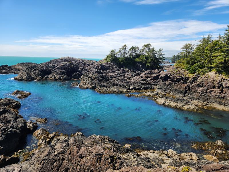 Lighthouse Loop: Wild Pacific Trail