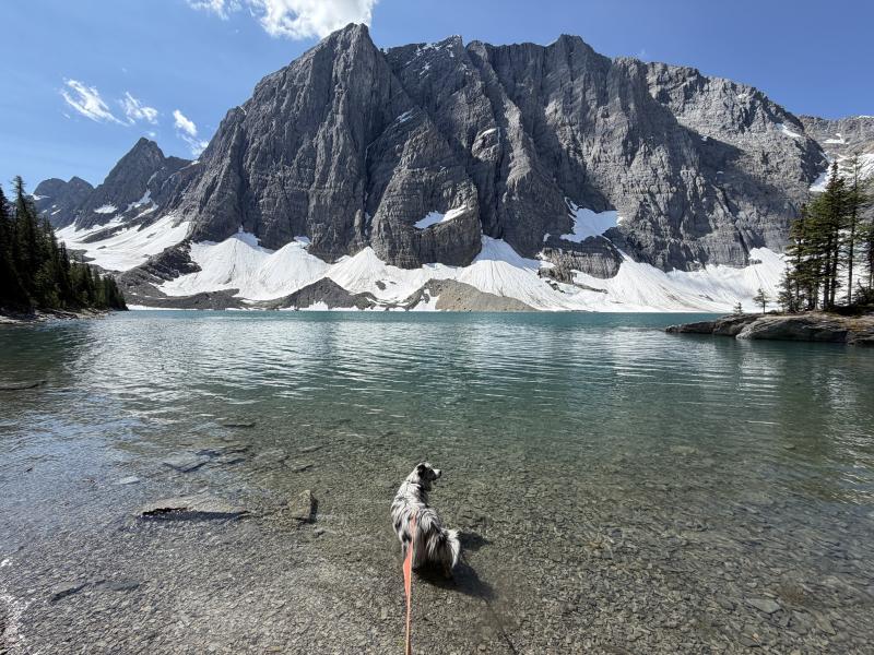 Floe Lake