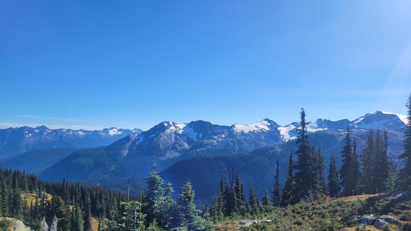 Goat Meadows Hut