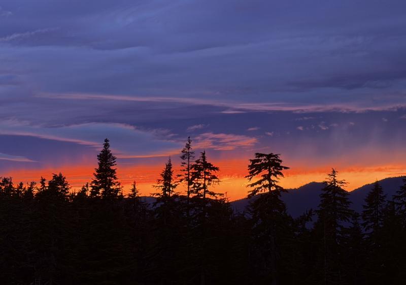 Grouse Mountain