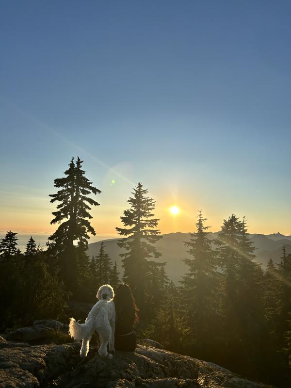 Brockton Point