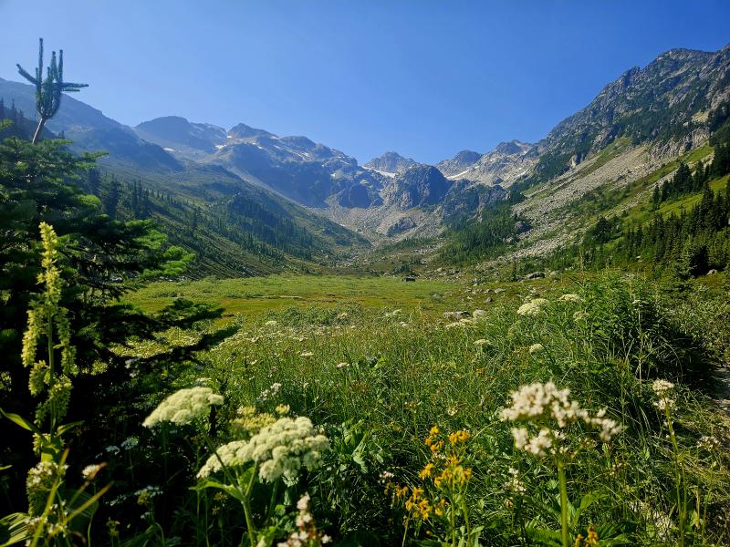 Brandywine Meadows Trail