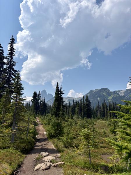 Panorama Ridge