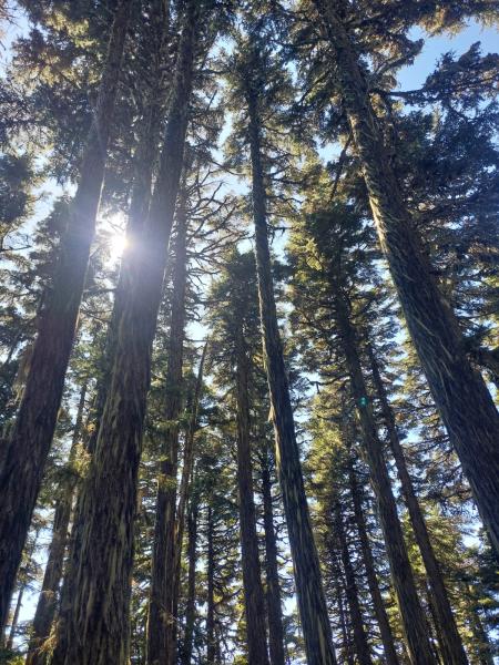 Mount Thurston Via Elk Mountain
