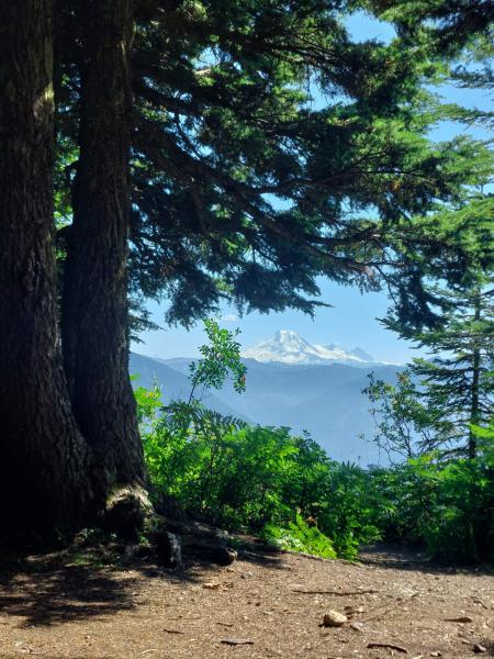 Mount Thurston Via Elk Mountain