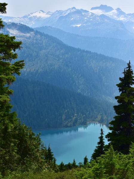 Seed Peak