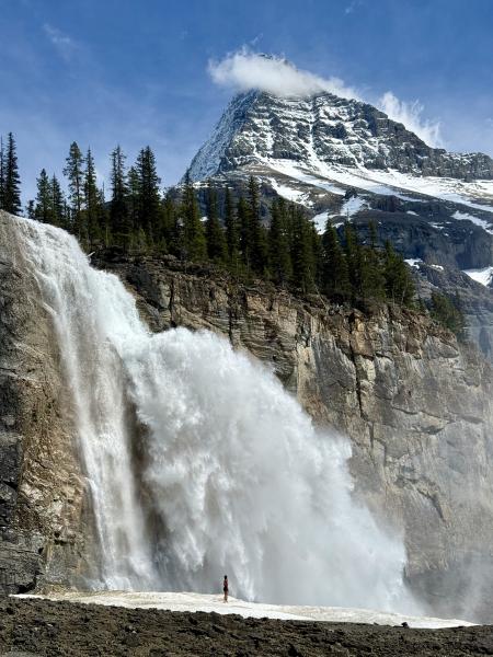Berg Lake Trail