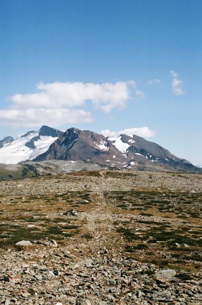 Musical Bumps Trail