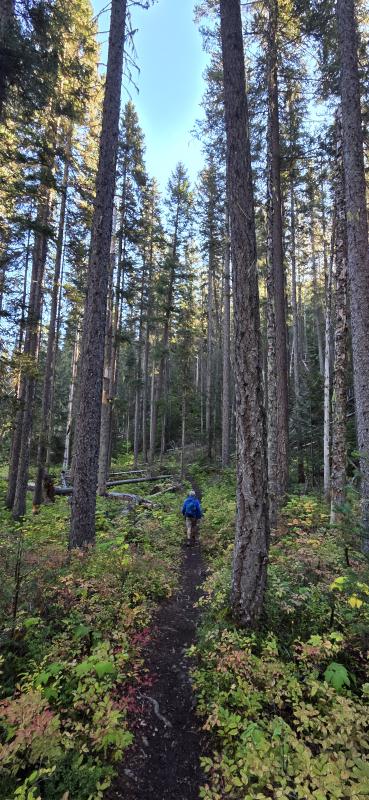 Lighning Lake Loop