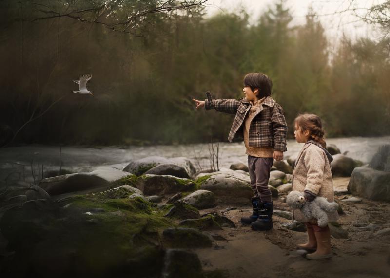 Coquitlam River Trail