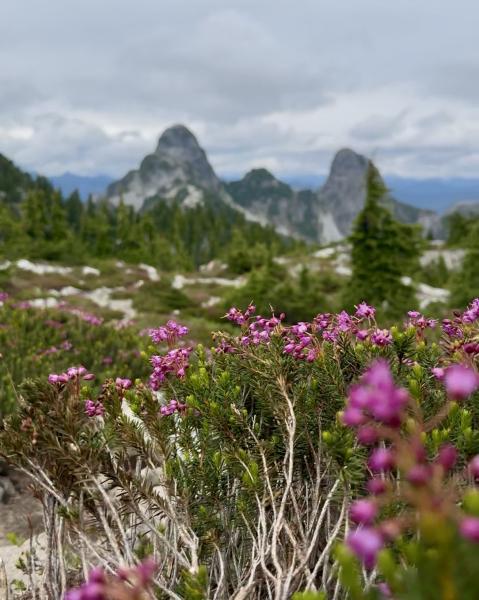 Unnecessary Mountain