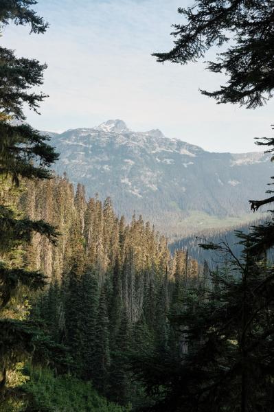 Joffre Lakes Trail