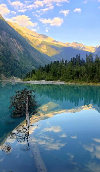Berg Lake Trail