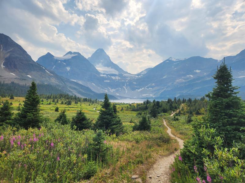 Mt Assiniboine
