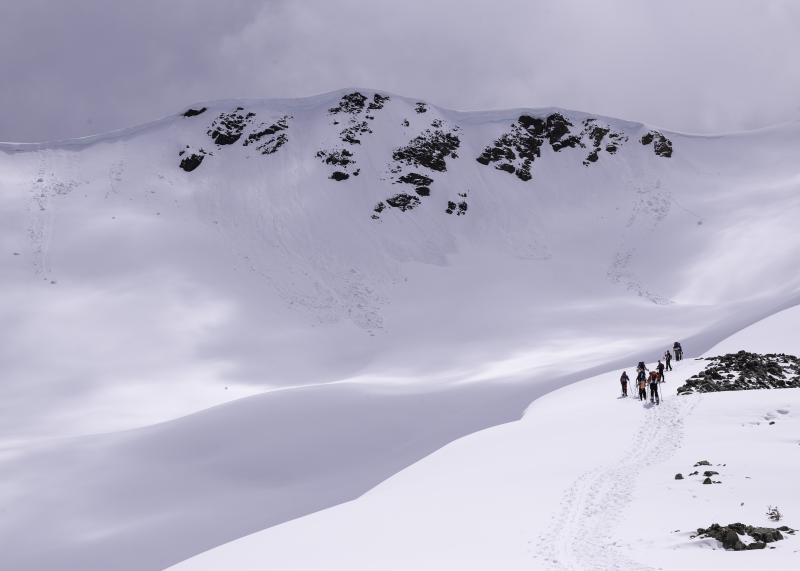 Panorama Ridge Trail