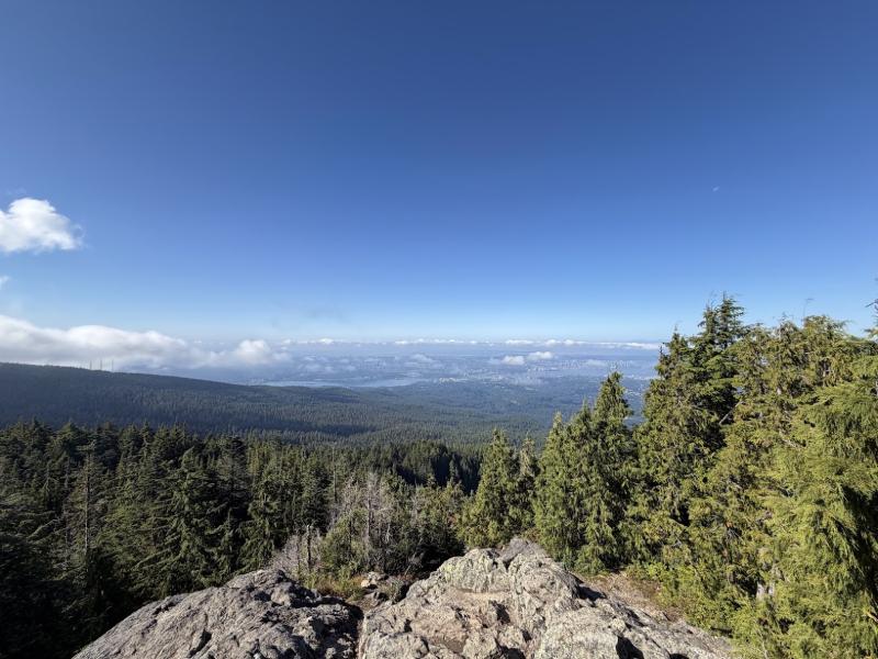 Dog Mountain