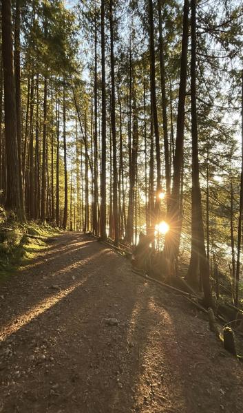 Lakeside Trail Loop
