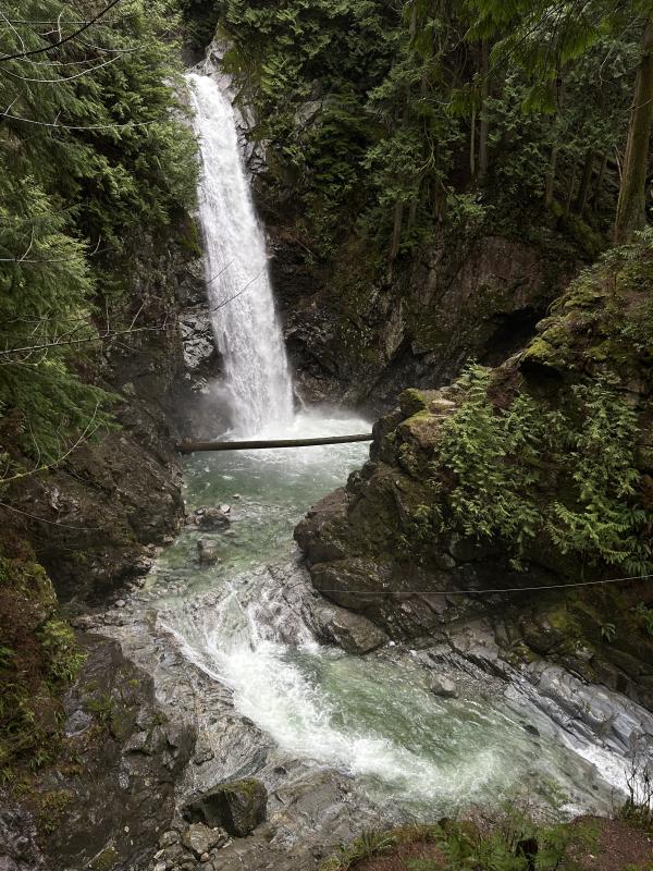 Cascade Falls Suspension Bridge Trail