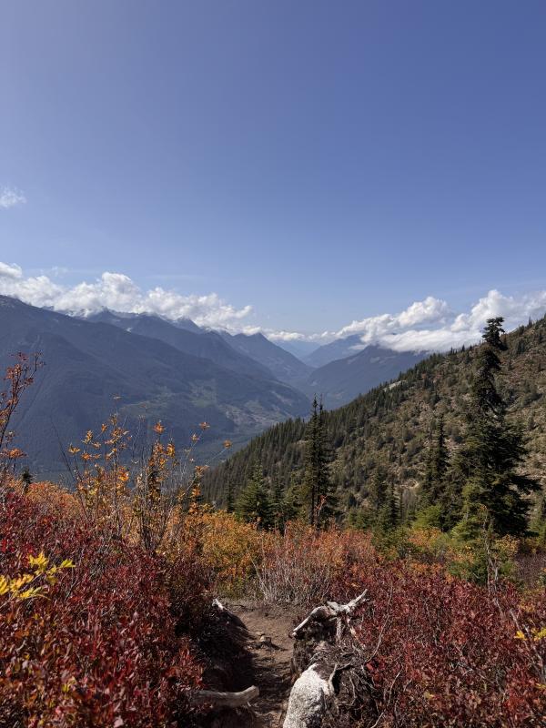 Flora Peak