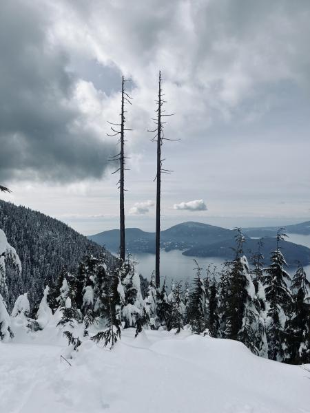 Bowen Island Lookout
