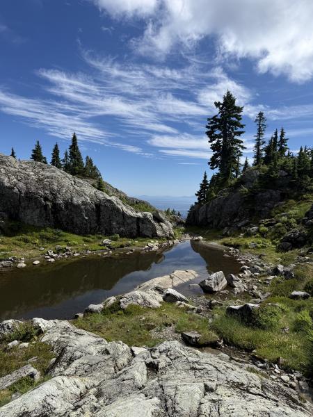 Mount Seymour Trail