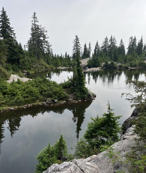 Mystery Lake Trail