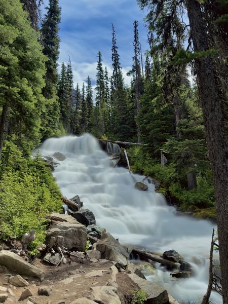 Upper Joffre Lake Trail
