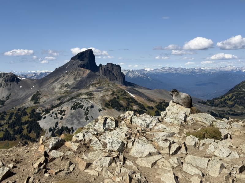 Panorama Ridge