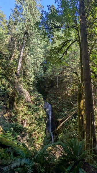 Burnett Falls