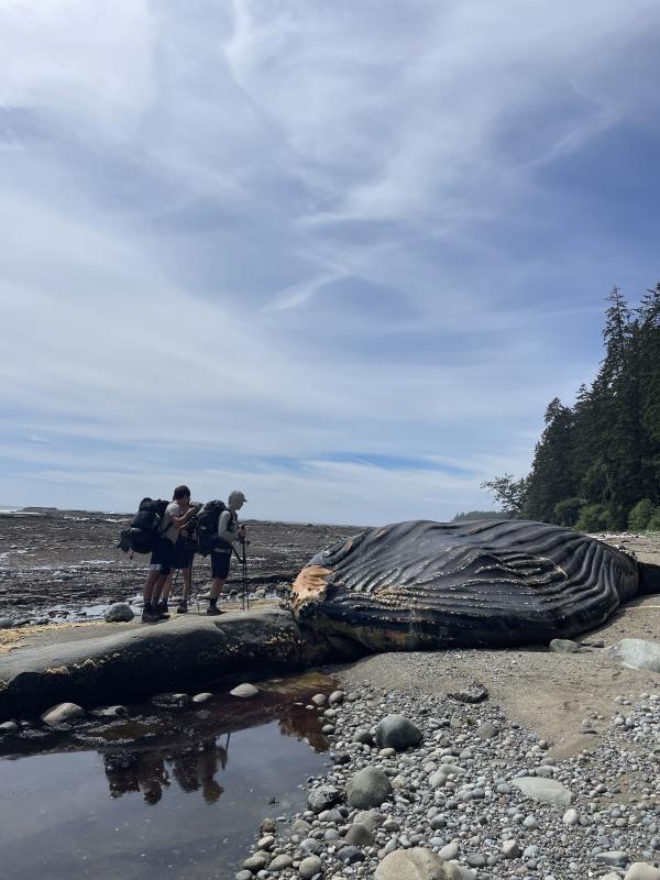 West Coast Trail