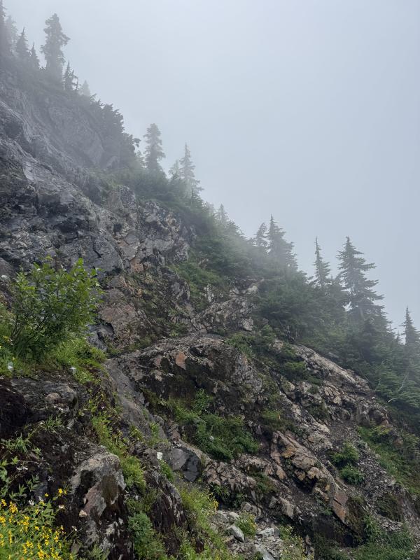 Mount Macfarlane