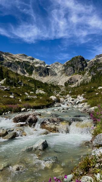 Brandywine Meadows